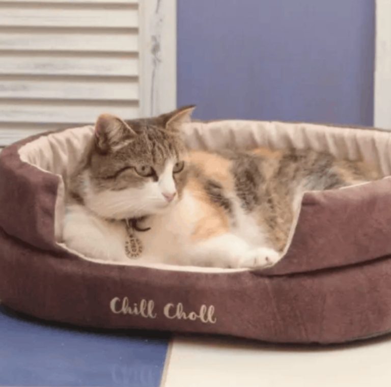 Лежанка 55х45х16см Chill Choll каштан для кошек и собак