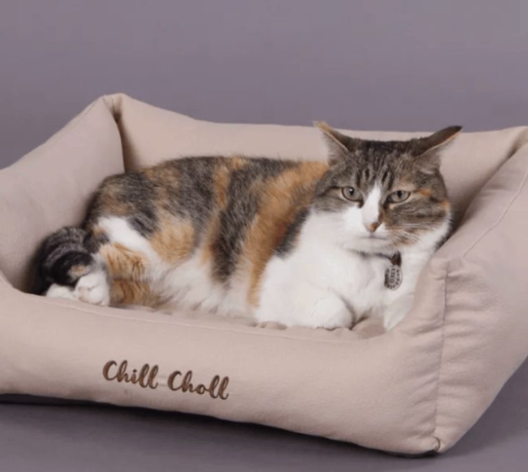 Лежанка квадратная 44х38х18см CHILL CHOLL Замша для кошек и собак