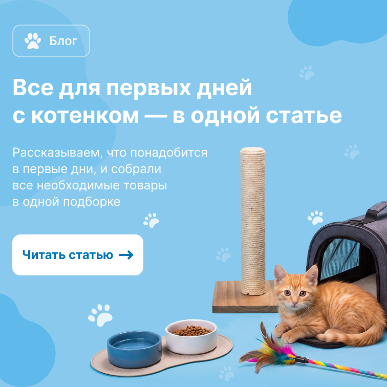 Статья: всё для первых дней с котёнком