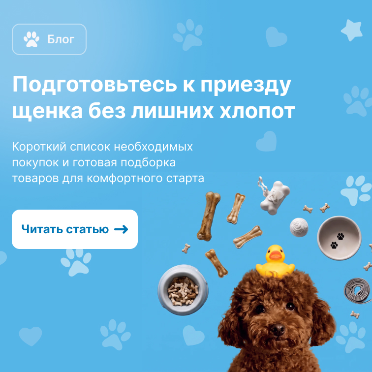 Статья: всё для первых дней с щенком