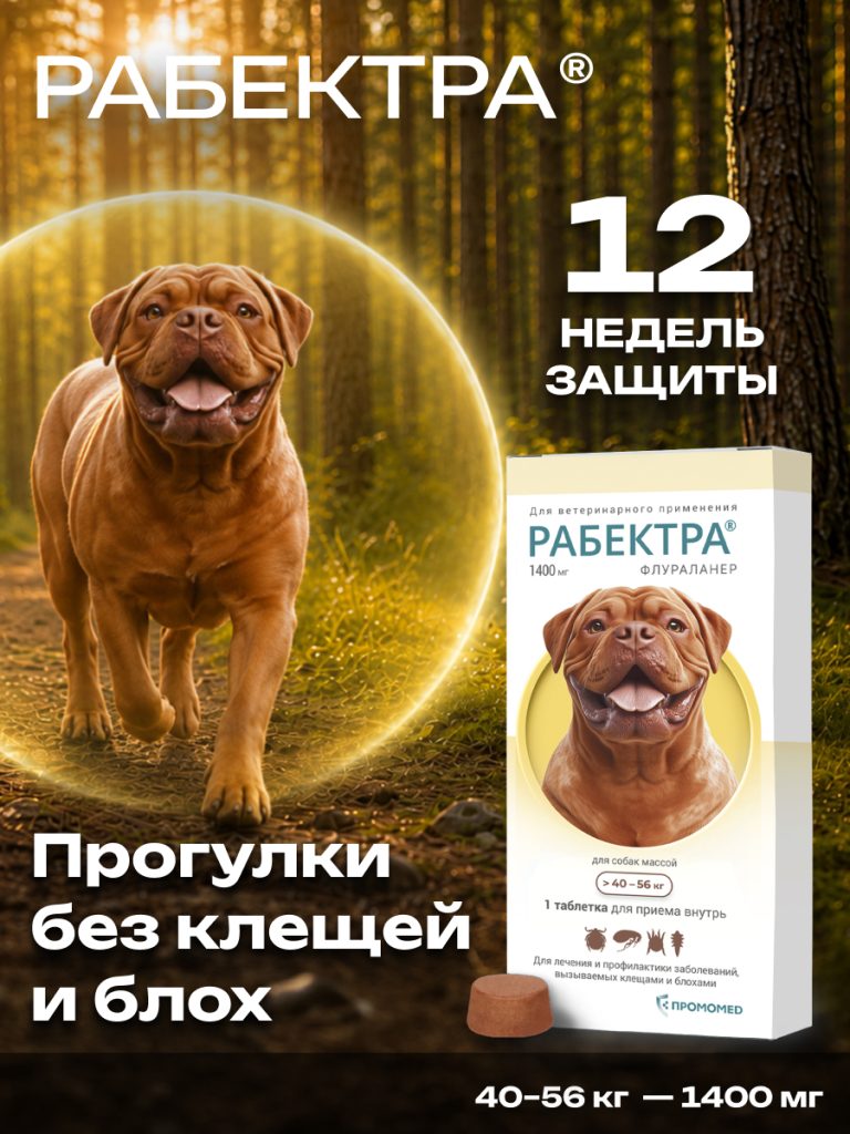 РАБЕКТРА 1400 мг, табл. дл/собак 40-56 кг, (1 таб./уп.)