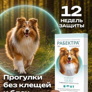 РАБЕКТРА 250 мг, табл. дл/собак 4,5-10 кг, (1 таб./уп.)