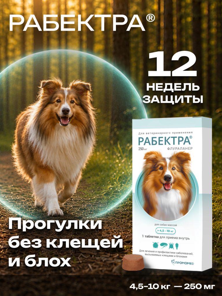 РАБЕКТРА 250 мг, табл. дл/собак 4,5-10 кг, (1 таб./уп.)