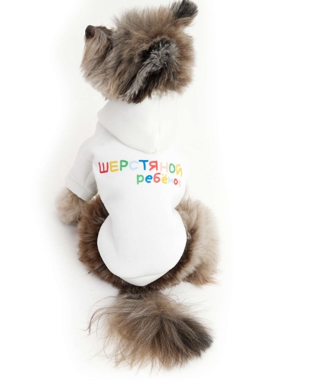 Толстовка LionPets р-р 3XL (спинка 47см) арт. LPK-0425
