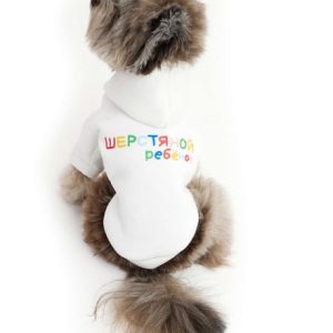 Толстовка LionPets р-р 2XL (спинка 43см) арт. LPK-0425