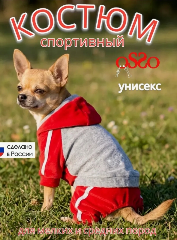 Спортивный костюм Чемпион р.22 красный/серый