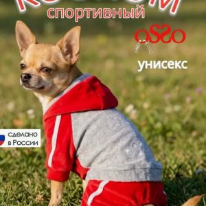 Спортивный костюм Чемпион р.32 красный/серый